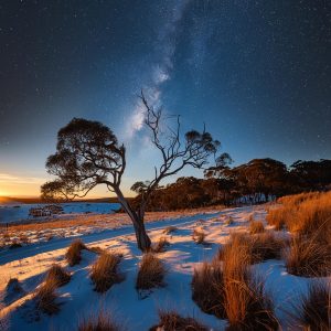 Local Search Engine Optimization is one of the best investments you can make. Local businesses have a powerful tool at their disposal to connect with potential customers: